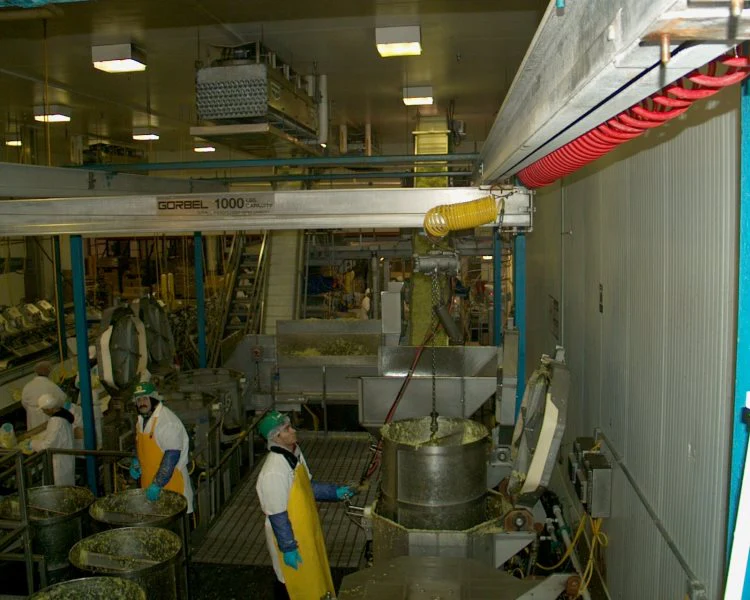 Grain Processing & Food Industry