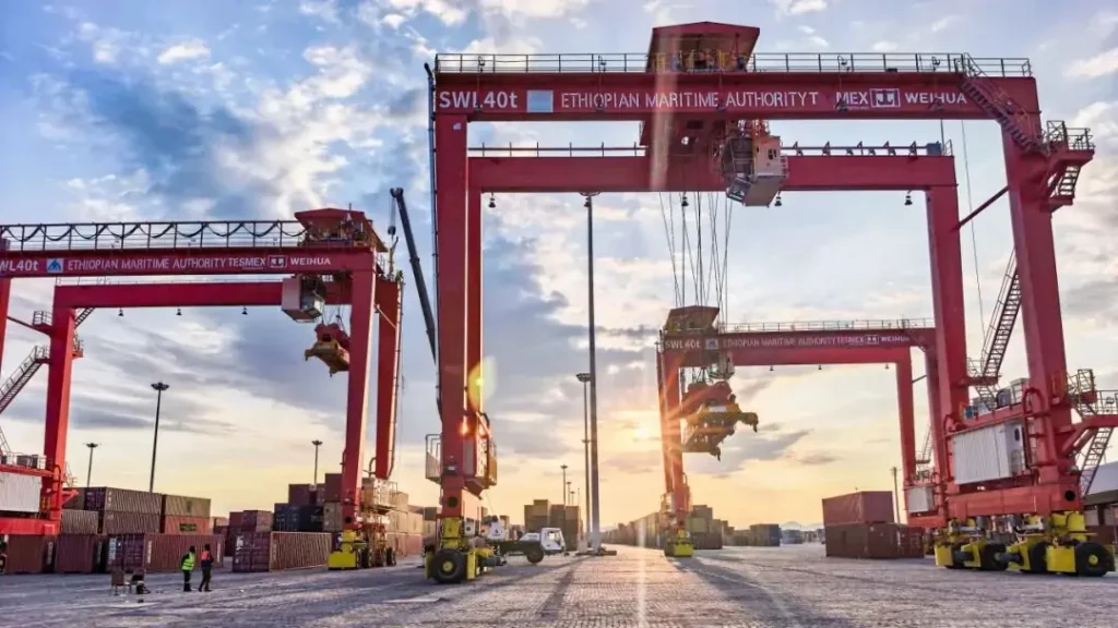 RMG and RTG Crane Project